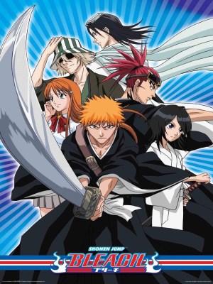 Bleach (2004) là một series anime dựa trên manga cùng tên của Tite Kubo, kể về hành trình của Kurosaki Ichigo, một thiếu niên có khả năng nhìn thấy linh hồn. Sau khi gặp gỡ và vô tình nhận được sức mạnh từ một Shinigami tên Rukia Kuchiki, Ichigo trở thành một Thần Chết tạm thời và phải chiến đấu để bảo vệ loài người khỏi những sinh vật nguy hiểm gọi là Hollow. Cùng với những đồng đội, Ichigo trải qua nhiều trận chiến đầy căng thẳng và khám phá ra nhiều bí mật về Thế giới Linh hồn. Bleach nổi bật với các pha hành động mãn nhãn, câu chuyện hấp dẫn, và dàn nhân vật đa dạng.