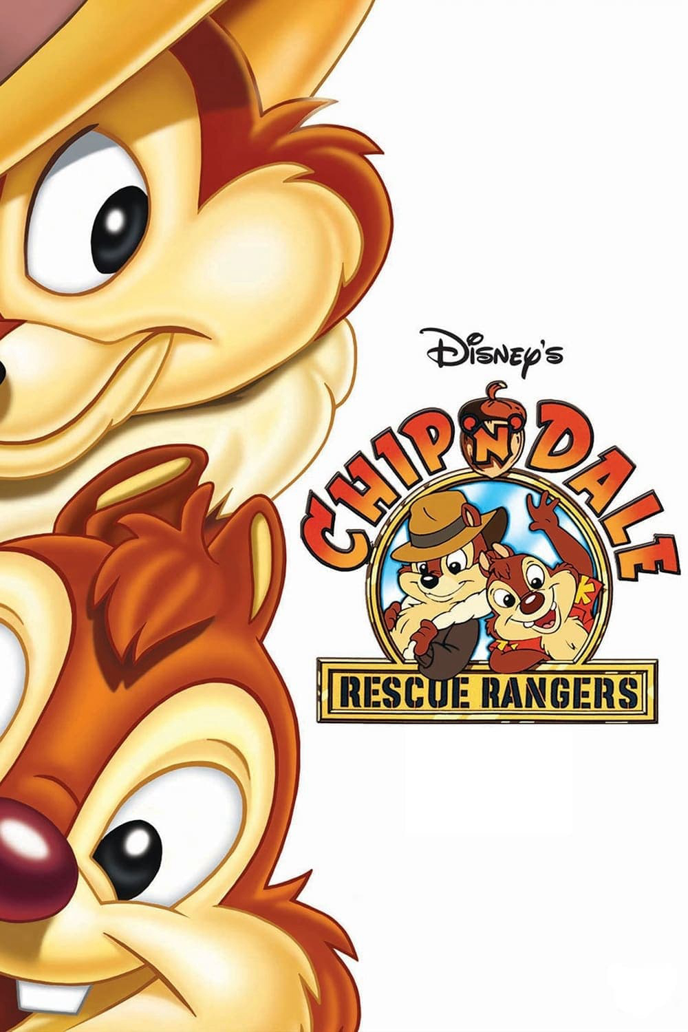 Chip và Dale đứng đầu một nhóm nhân vật động vật nhỏ, lập dị, không chỉ giám sát thế giới con người mà còn cả cộng đồng động vật, giải quyết những bí ẩn ở bất cứ nơi nào họ có thể. Các "Đội cứu hộ" xử lý các vụ án rơi vào tình thế khó khăn.