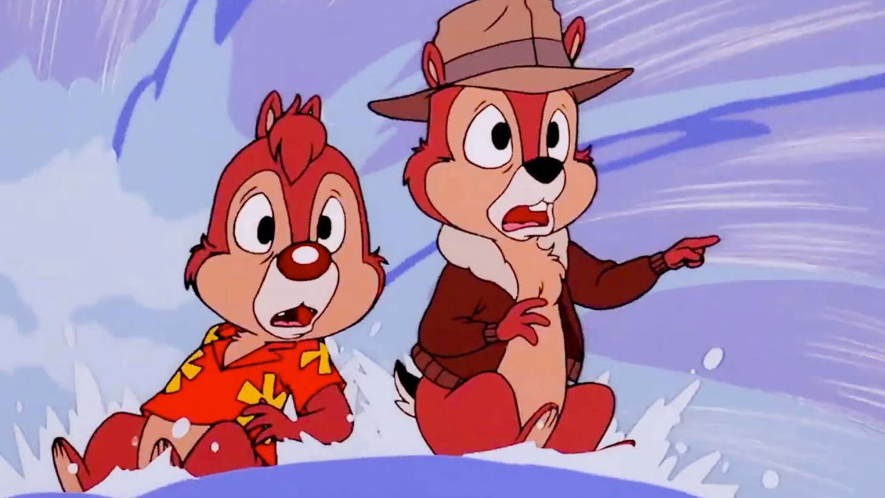 Chip và Dale đứng đầu một nhóm nhân vật động vật nhỏ, lập dị, không chỉ giám sát thế giới con người mà còn cả cộng đồng động vật, giải quyết những bí ẩn ở bất cứ nơi nào họ có thể. Các "Đội cứu hộ" xử lý các vụ án rơi vào tình thế khó khăn.