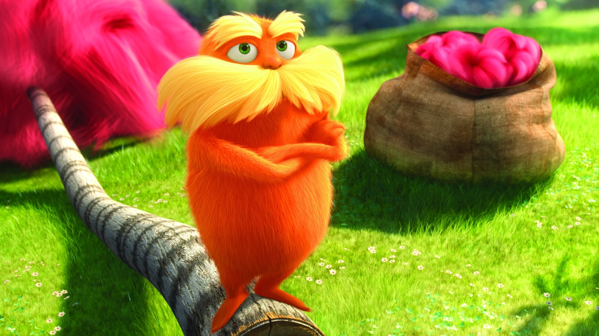 Trong bản chuyển thể từ tác phẩm kinh điển của Dr. Seuss này, Thần Lorax sống trong rừng phải ngăn anh chàng thiển cận Once-ler không phá hoại môi trường để kiếm lợi.