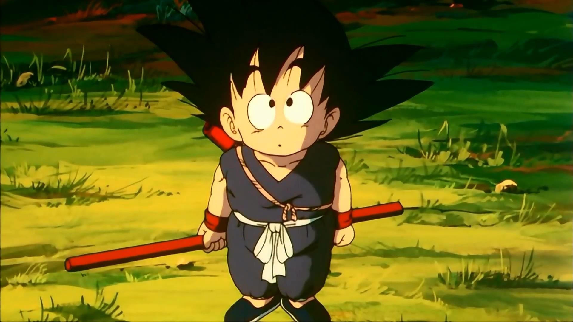 Goku và những người bạn của mình phải ngăn chặn Vua Gurumes phá hủy thành phố để lấy hồng ngọc máu và thu thập bảy viên ngọc rồng.