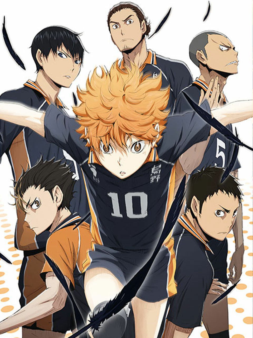 Shoyo Hinata, một cậu bé đam mê bóng chuyền, đã bị đánh bại bởi cầu thủ thiên tài Tobio Kageyama trong trận đấu chính thức đầu tiên cũng là cuối cùng tại trường trung học cơ sở. Tuy nhiên, cả hai đã gặp lại nhau tại câu lạc bộ bóng chuyền của trường trung học Karasuno. Câu chuyện bóng chuyền của các thanh niên đầy nhiệt huyết bắt đầu! "