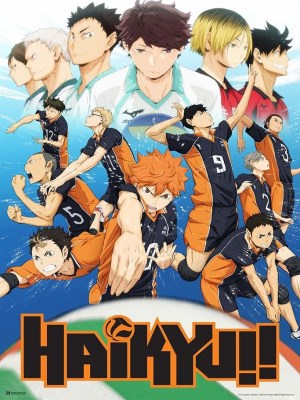 Determined to be like the volleyball championship's star player nicknamed "the small giant", Shoyo joins his school's volleyball club.