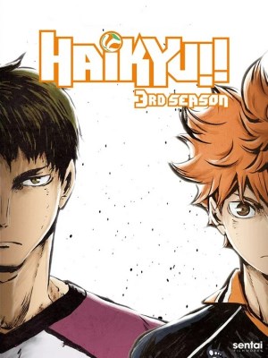 Haikyu!! Season 3 (Vua Bóng Chuyền Haikyuu - Mùa 3) tập trung vào trận đấu chính giữa đội Karasuno và đối thủ mạnh mẽ Shiratorizawa Academy trong khu vực. Đối mặt với một đội có một trong những chân sút xuất sắc nhất, Ushijima Wakatoshi, Karasuno đặt ra mục tiêu chiến thắng để tiến vào giai đoạn tiếp theo của giải. Trong mùa này, người xem sẽ được chứng kiến sự tiến triển của các nhân vật, cũng như sự chín muồi của đội Karasuno trong một trận đấu quyết liệt và căng thẳng. Mùa 3 là một điểm dừng quan trọng trong hành trình của họ, đánh dấu sự phấn đấu và nỗ lực không ngừng để vươn tới đỉnh cao.