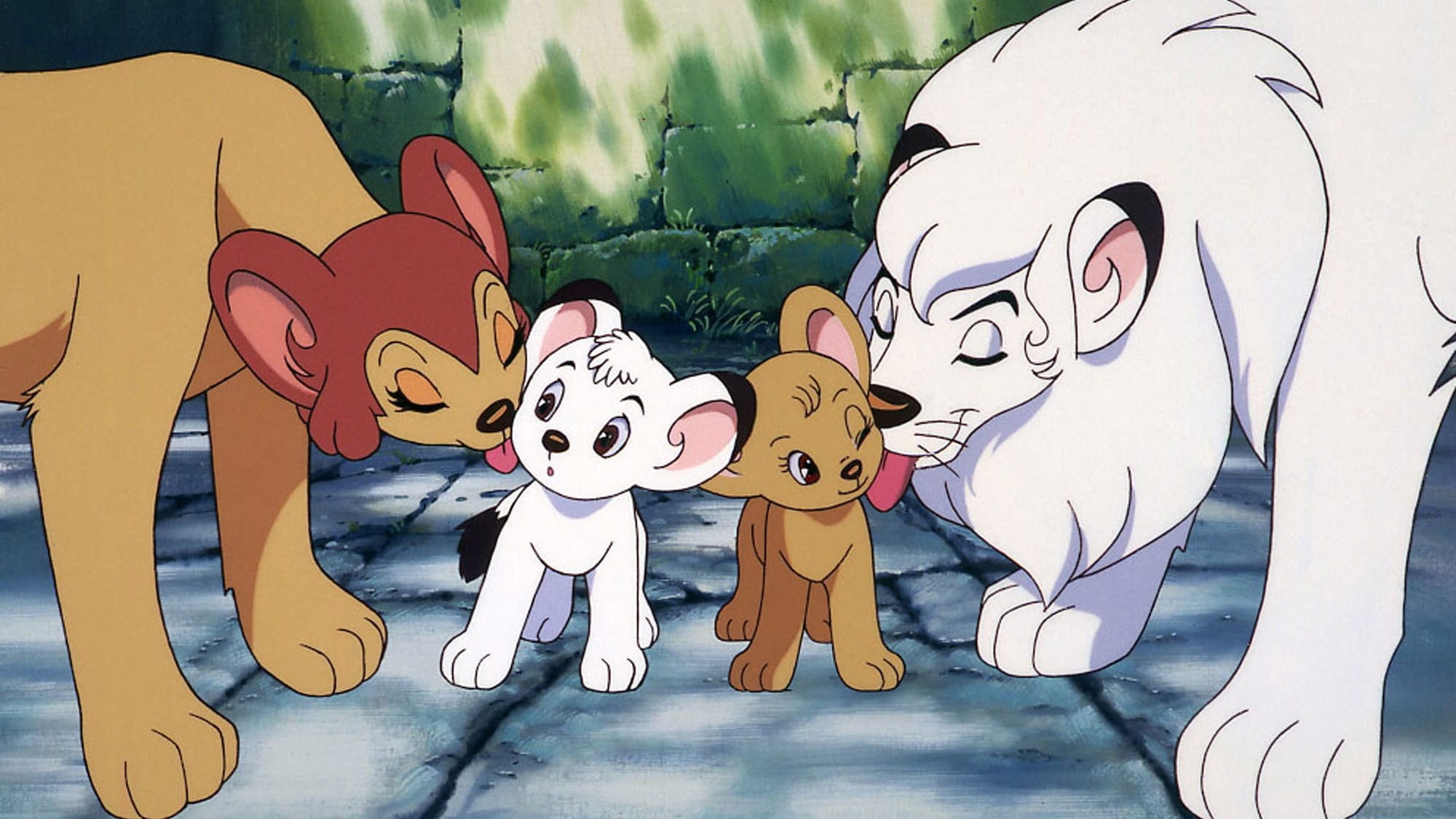 Tác phẩm nổi tiếng nhất của Tezuka Osamu &quot;Jungle Emperor Leo&quot; đã nhiều lần được dựng thành phiên bản hoạt hình. Trong phiên bản sân khấu này, Tezuka Osamu lần đầu tiên có thể khắc họa chủ đề &quot;Tất cả cuộc sống đều bình đẳng&quot; thông qua sự hy sinh quên mình của Leo.