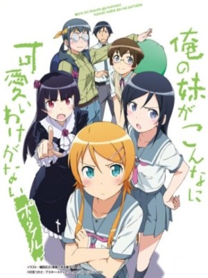 Kirino Kousaka, một otaku nổi tiếng, đã trở về Nhật Bản và bắt đầu một cuộc sống ổn định bên gia đình và bạn bè. Dù anh trai Kyousuke đã nỗ lực thuyết phục cô từ bỏ khóa huấn luyện điền kinh ở Mỹ, mối quan hệ giữa họ vẫn căng thẳng khi Kirino giữ vững sự lạnh lùng với anh. Kyousuke không chỉ lo lắng về mối quan hệ này mà còn phải giải mã một thông điệp bí ẩn từ Ruri "Kuroneko," bạn của Kirino. Khi những mối quan hệ giữa họ ngày càng phức tạp, cả hai anh em sẽ phải đối mặt với cảm xúc của chính mình và tìm cách thấu hiểu nhau hơn. Bất chấp mọi thứ, Kirino vẫn cố gắng dành thời gian cho đam mê otaku, cùng Kyousuke khám phá thế giới mà cả hai yêu thích.