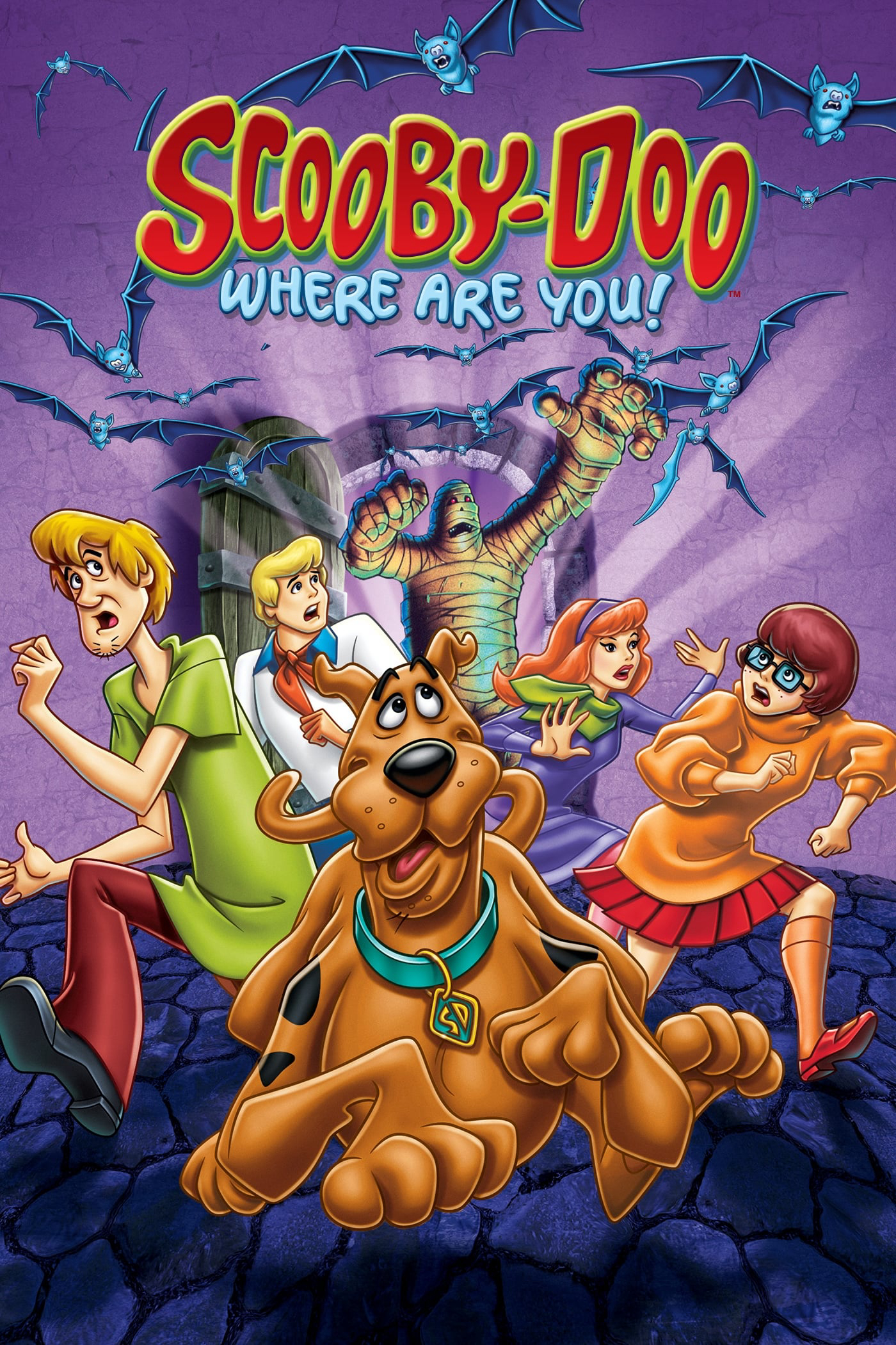 Fred, Daphne, Velma, Shaggy và chú chó biết nói Scooby-Doo du hành trên chiếc xe van Mystery Machine để tìm kiếm những bí ẩn kỳ lạ cần giải quyết.