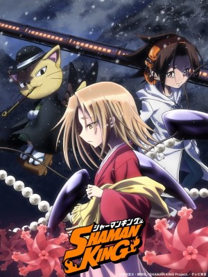 Shaman King follows the adventures of a 13-year-old shaman and his teammate a samurai warrior spirit, who traverse the world fighting evil spirits and misguided shamans on their journey to be the next Shaman King.