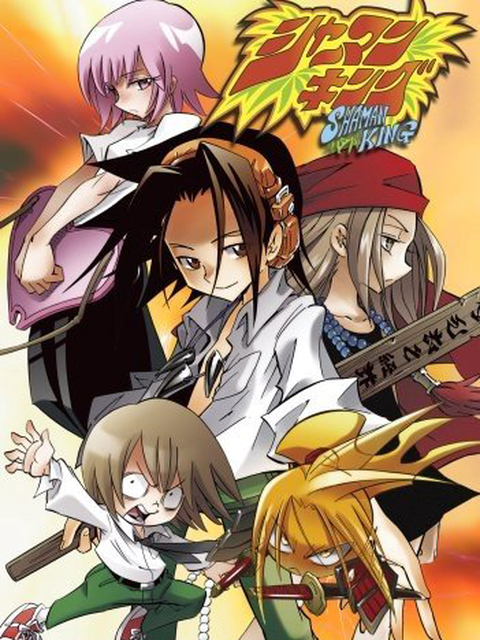 Trong thế giới của Shaman King (Vua Pháp Sư) có những pháp sư có thể điều khiển được các linh hồn. Mỗi pháp sư có một linh hồn đi kèm để hỗ trợ. Cứ 500 năm 1 lần sẽ có một đại hội thi đấu giữa các pháp sư để chọn ra một vua pháp sư. Người này sẽ có được linh hồn vĩ đại của Trái Đất để giúp thế giới. Tuy nhiên 2 cuộc thi đấu gần đây nhất đã bị phá hoại bởi một pháp sư tên là Asakura Hao. Manta là một cậu bé đang học trung học ở Tokyo. Cậu tình cờ làm quen với Yoh, một pháp sư mới chuyển đến cùng lớp. Manta lần lượt gặp những pháp sư khác như Ryu, Tao Ren, Tao Jun. Vua Pháp sư kể về cuộc phiêu lưu của Yoh, Anna, và các bạn qua lời kể của Manta.