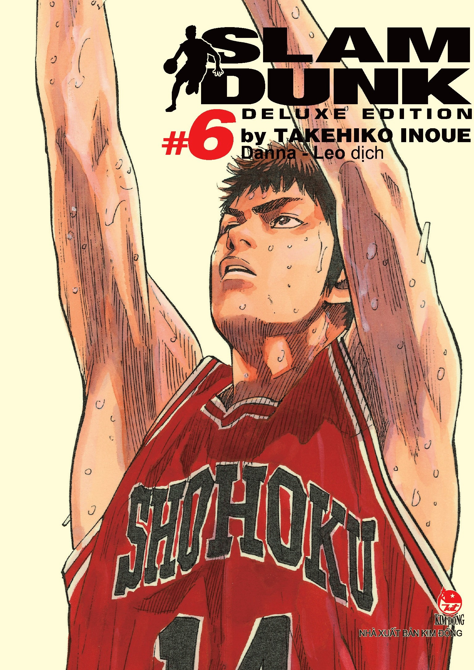 Slam Dunk là câu chuyện xoay quanh nhân vật Hanamichi Sakuragi, vốn là học sinh cá biệt, cầm đầu một băng nhóm chuyên gây lộn. Hanamichi từng tỏ tình và bị từ chối 50 lần khi còn học cấp 2. Lên trung học, Cậu ta gặp Haruko Akagi, cô gái trong mơ, và rất hạnh phúc khi cô không hề sợ cậu như những cô gái khác.