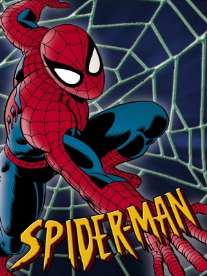 Loạt phim Spider-Man: The Animated Series (Người Nhện) theo chân Peter Parker, một sinh viên đại học kiêm nhiếp ảnh gia tự do, người có cuộc sống thay đổi mãi mãi sau khi bị một con nhện phóng xạ cắn. Với sức mạnh phi thường và khả năng bám dính trên tường, Peter trở thành Spider-Man và sử dụng khả năng của mình để bảo vệ thành phố New York khỏi các tội phạm và kẻ thù siêu ác.