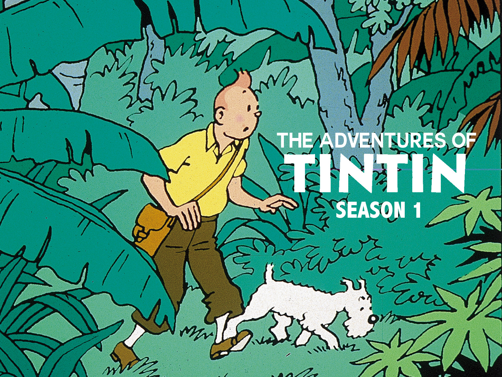 The Adventures Of Tintin - Season 1 là series phim được chuyển thể cùng tên do nhà văn người Bỉ Hergé sáng tác với tên gốc là ''Les Adventuré de Tintin''. Anh chàng Tintin - chàng phóng viên tài năng và hài hước có chỏm tóc vàng hoe cùng chú cún trung thành Milou đã là một hình tượng rất thân thuộc đối với trẻ em cũng như nhiều người lớn trên toàn thế giới. Những câu chuyện về Tintin đã vượt qua biên giới, vượt qua mọi thời đại: hàng loạt bản dựng khác nhau từ phim hoạt hình cho tới nhạc kịch và trên màn ảnh rộng. Mỗi câu chuyện về chàng phóng viên Tintin đều mang đậm triết lý sống “chính nghĩa thắng gian tà”, vượt qua trở ngại bằng trí tuệ. Ngoài ra, Tintin còn được yêu thích vì biết coi trọng tình bạn, giữ lời hứa, giúp đỡ kẻ yếu, đấu tranh với tội phạm, trí dũng song toàn nhưng lại rất bình dị!